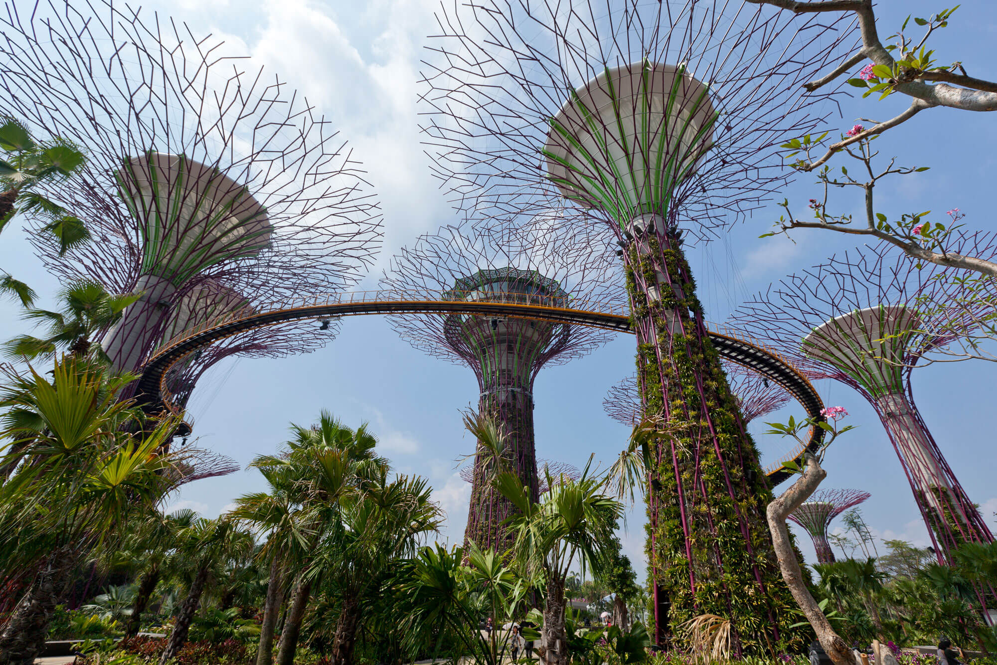 Garden by the Bay