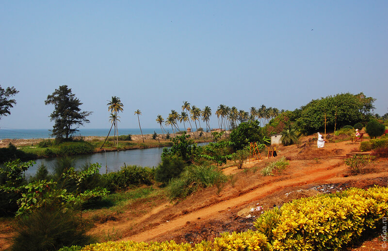 Mandrem beach_beaches in Goa