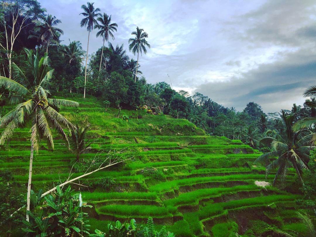 bali