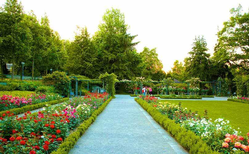 Rose Garden - Tourist places in chandigarh