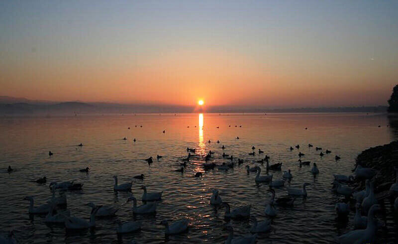 Sukhna Lake - Chandigarh Sightseeing